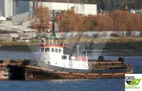 29m / 18ts BP Tug for Sale / #1003833