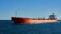 CM0867 Panamax bulk carrier 72600 DWT/2001 JPN BLT for sale