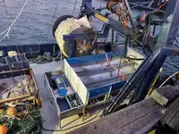 FRESH FISH STERN TRAWLER