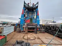 Damen Stantug 50 tonnes BP