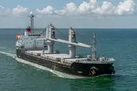 CM0805 Geared dry cargo ship 12530 DWT/2007 Japan blt for sale